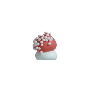 Paddenstoel - 1 cm - 25 stuks