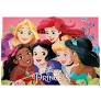 Dekora taartdecoratie - Disney princess - 15x21cm - 1st