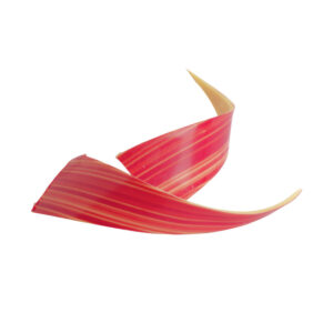 Chocolade waves rood - 12x3cm - 10 stuks