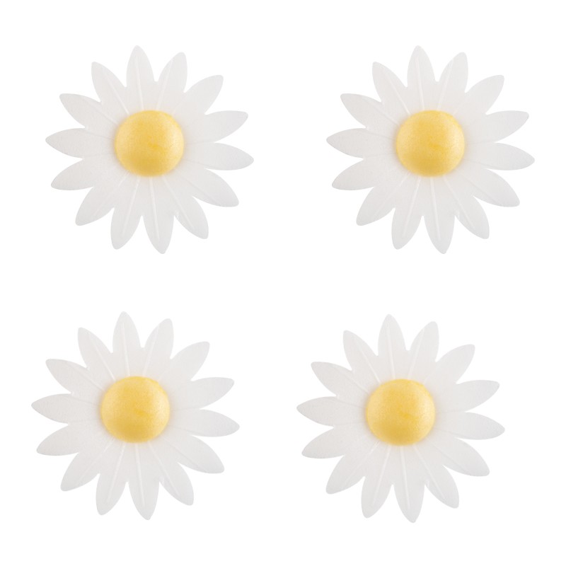 Hostie margrieten wit - 8 stuks