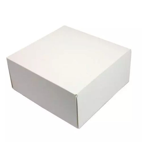 Taartdoos wit - 17X17X5cm