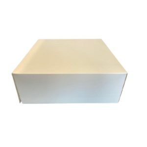 Taartdoos wit - 21X21X8cm